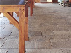 BEST ARNICA výška 60mm colormix etna STANDARD BEST ARNICA výška 60mm colormix etna STANDARD